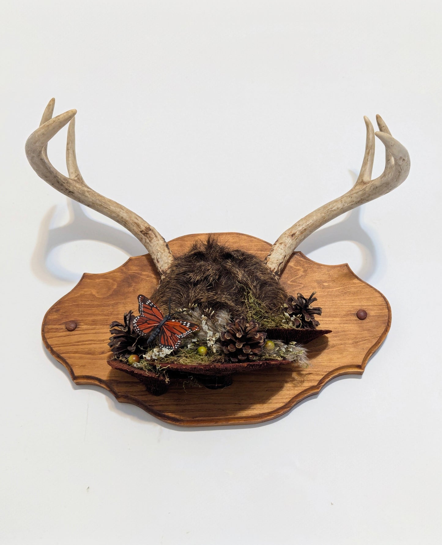 Wild Relic No. I wall mount