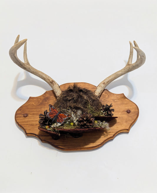 Wild Relic No. I wall mount