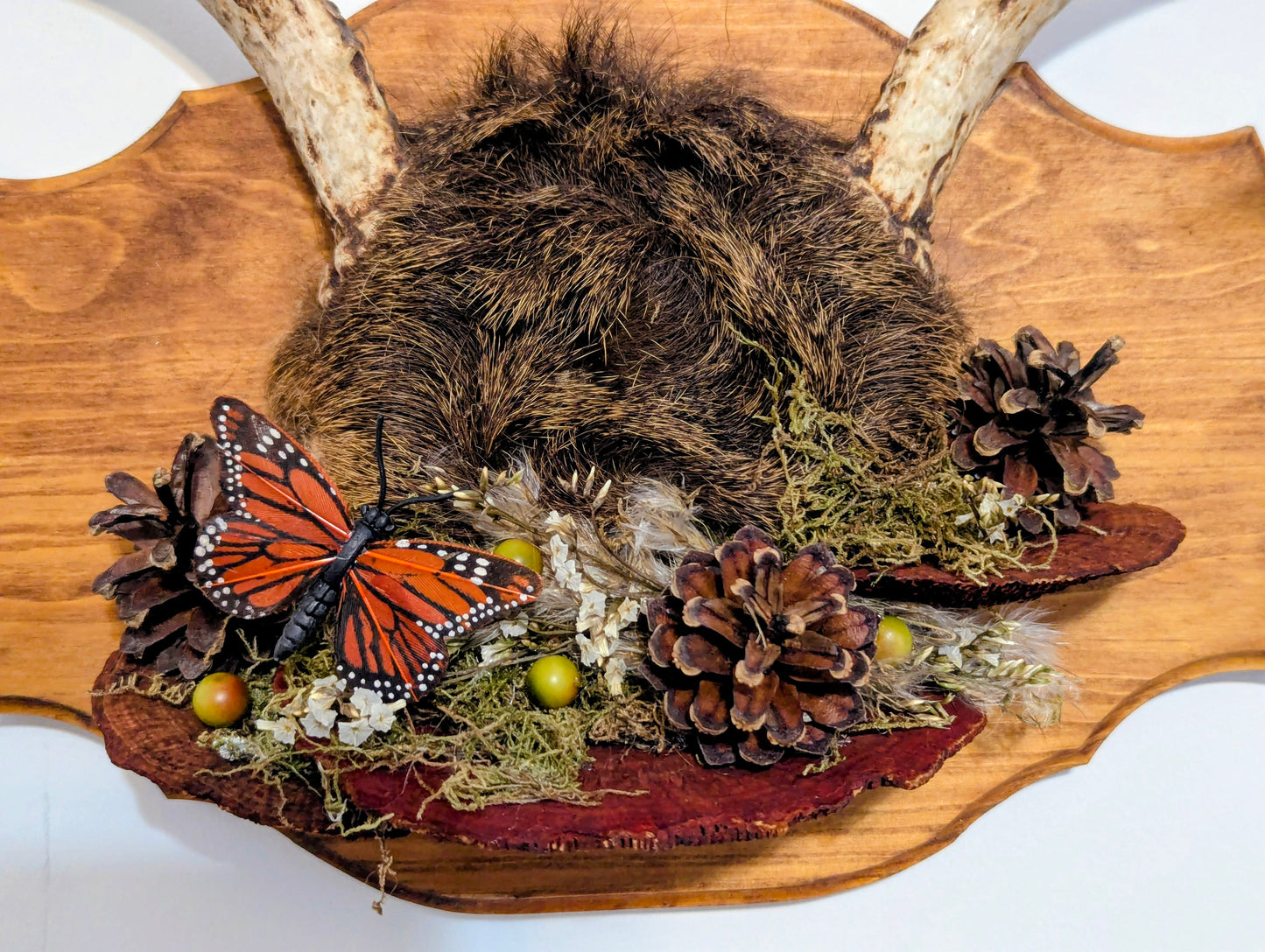 Wild Relic No. I wall mount