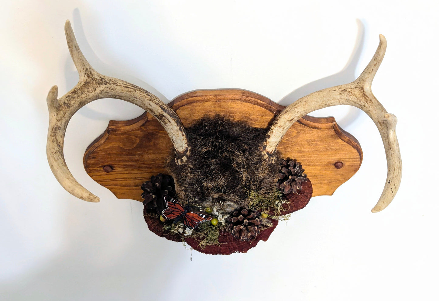 Wild Relic No. I wall mount