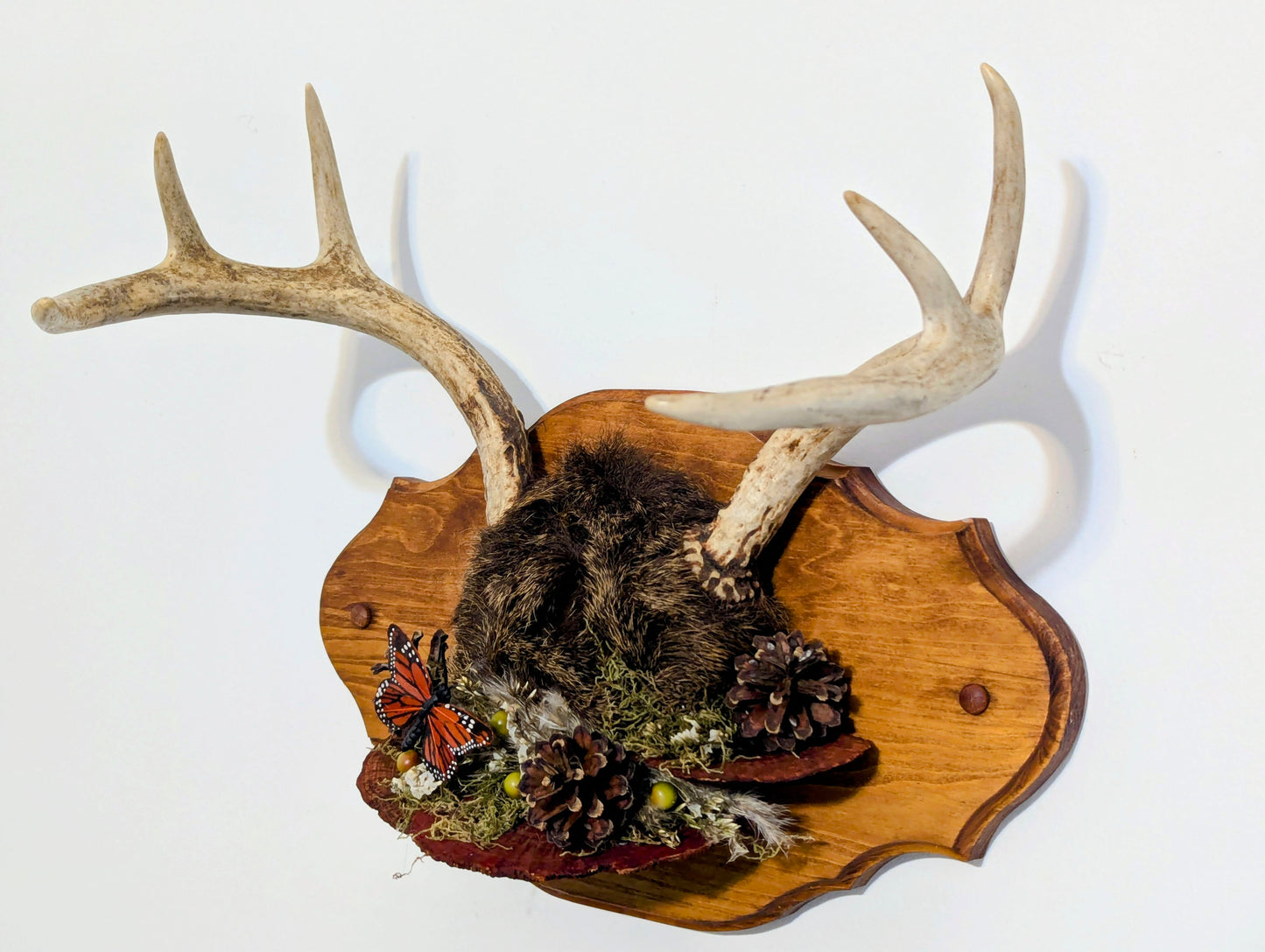 Wild Relic No. I wall mount