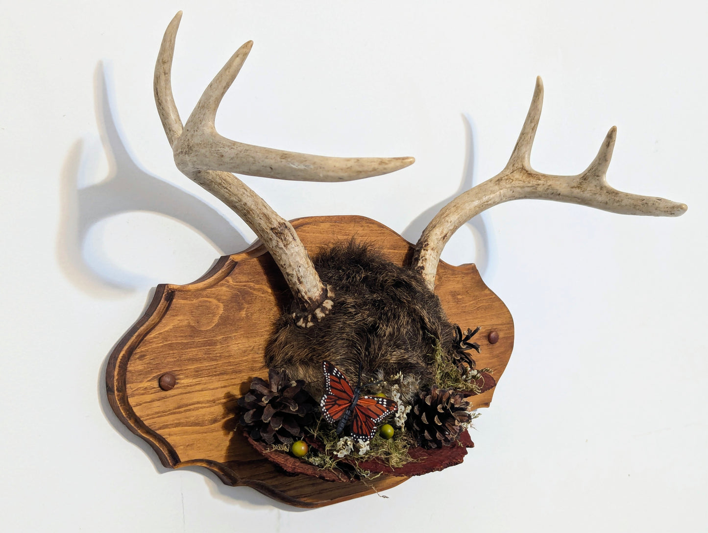 Wild Relic No. I wall mount