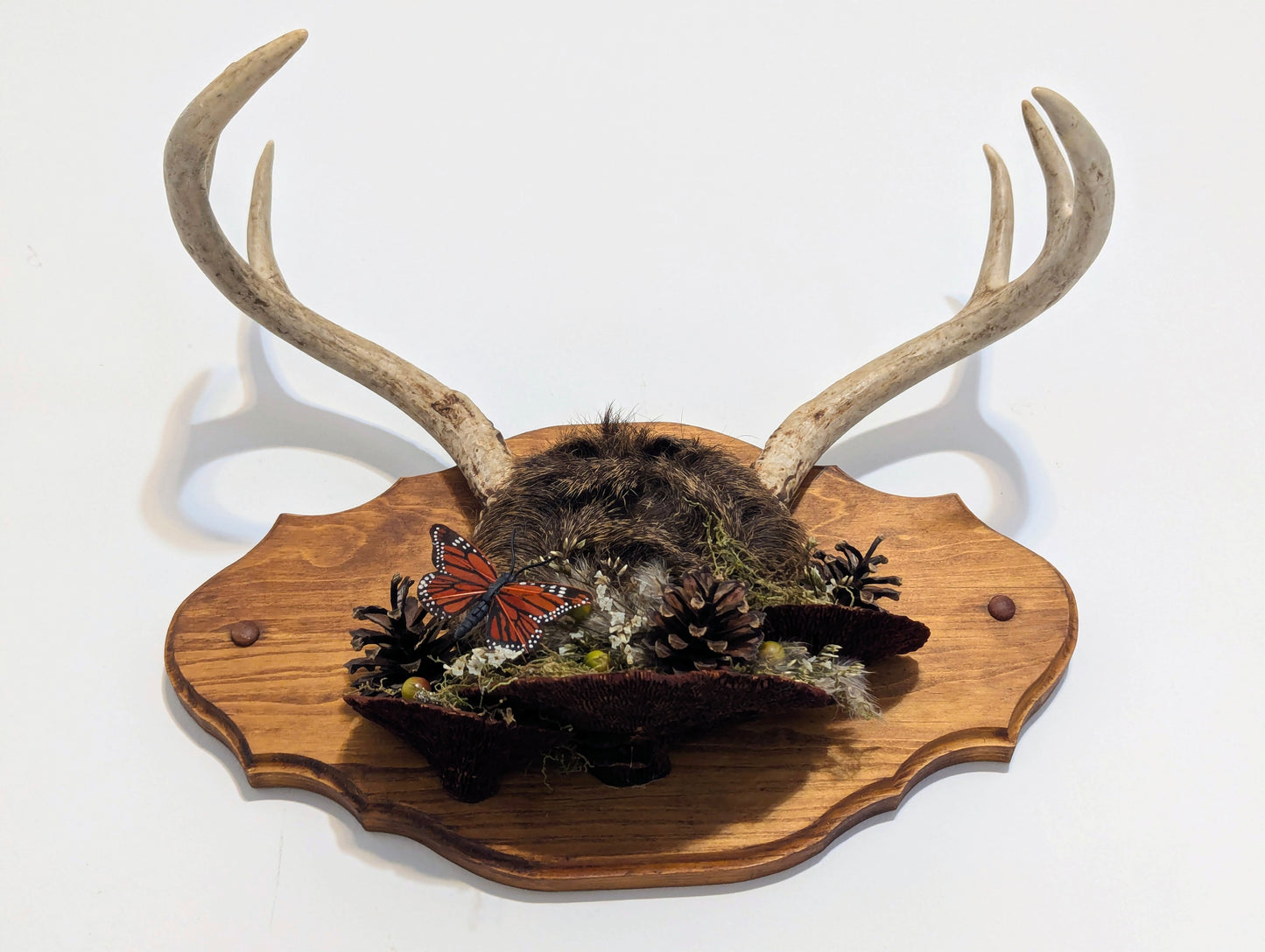 Wild Relic No. I wall mount