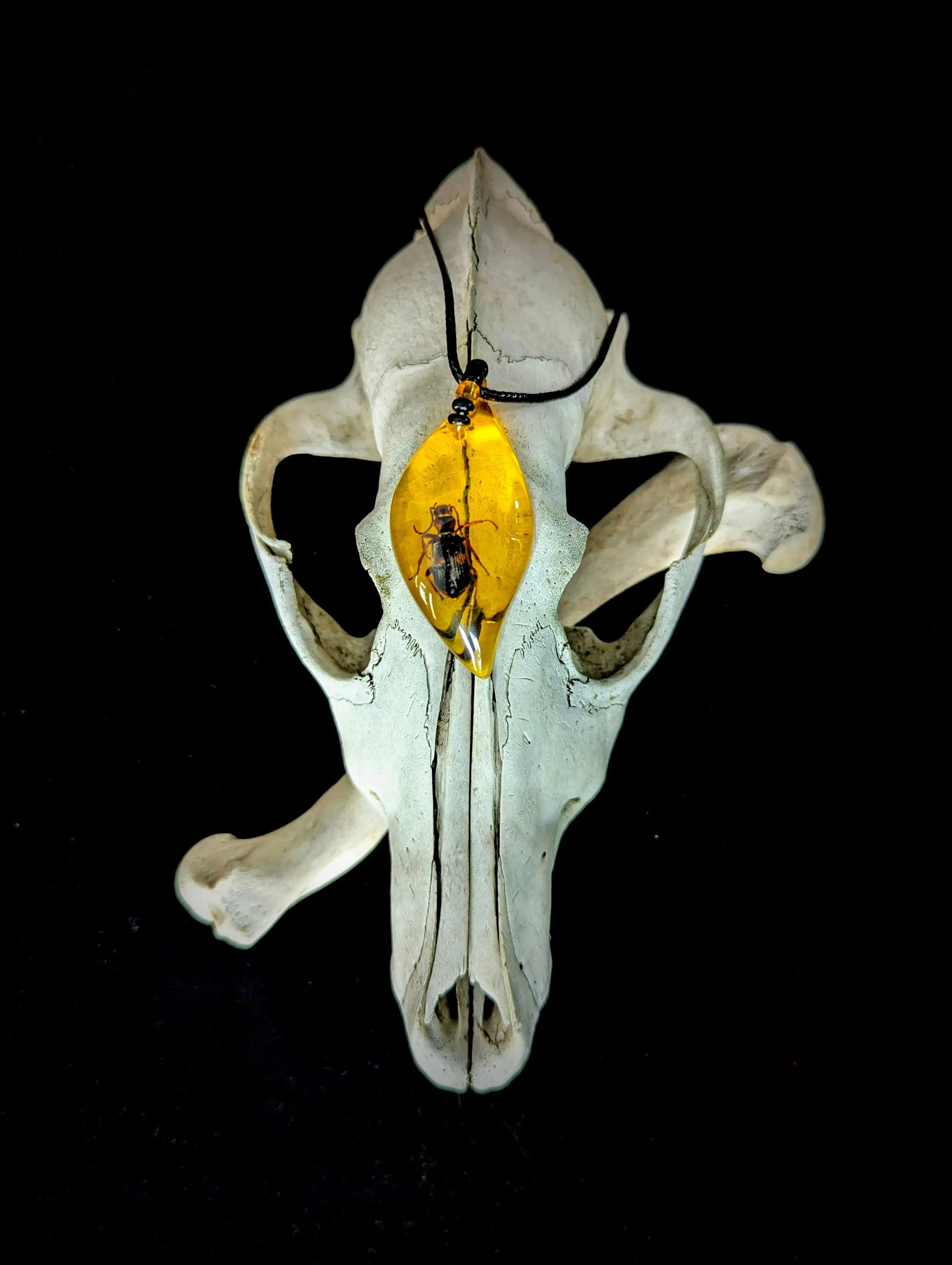 Imitation Amber Insect Necklace - Curiosia Bazar