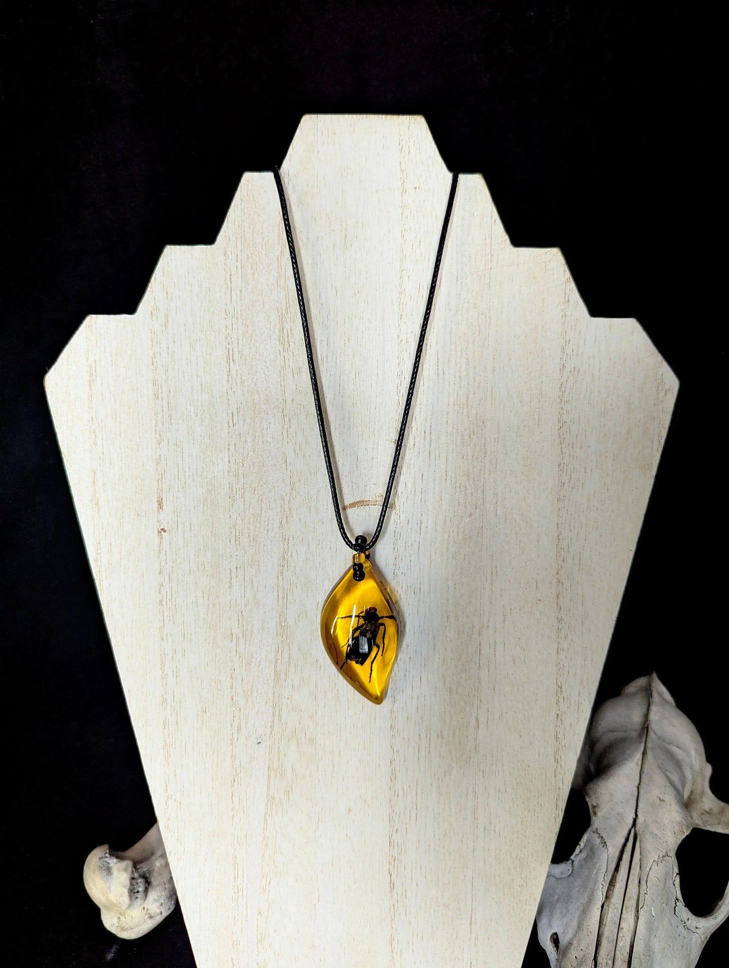 Amber necklace with a black cord on a white stand against a dark background