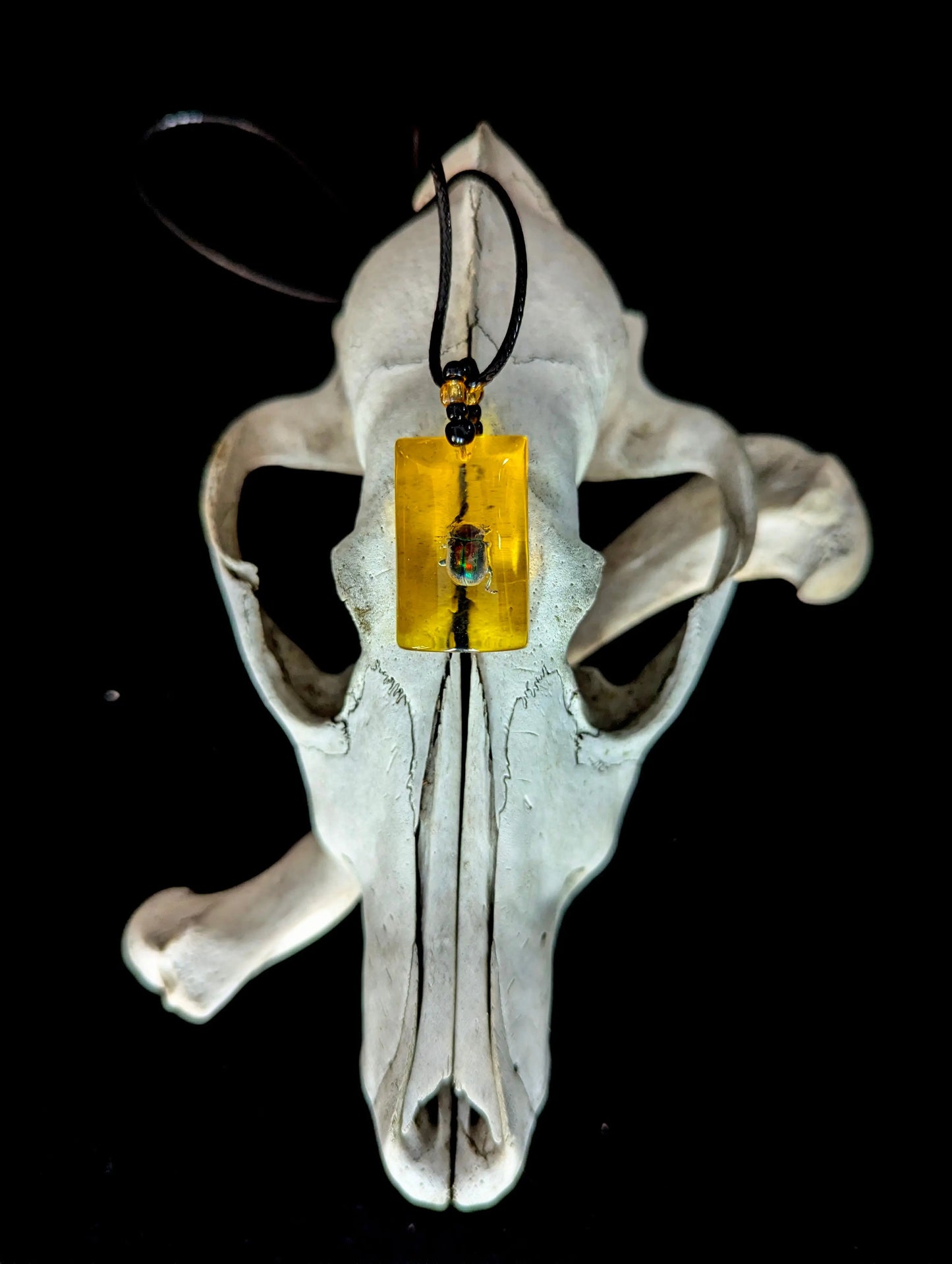 Imitation Amber Insect Necklace - Curiosia Bazar