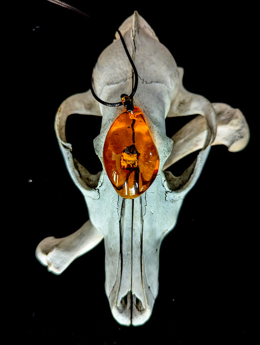 Imitation Amber Insect Necklace