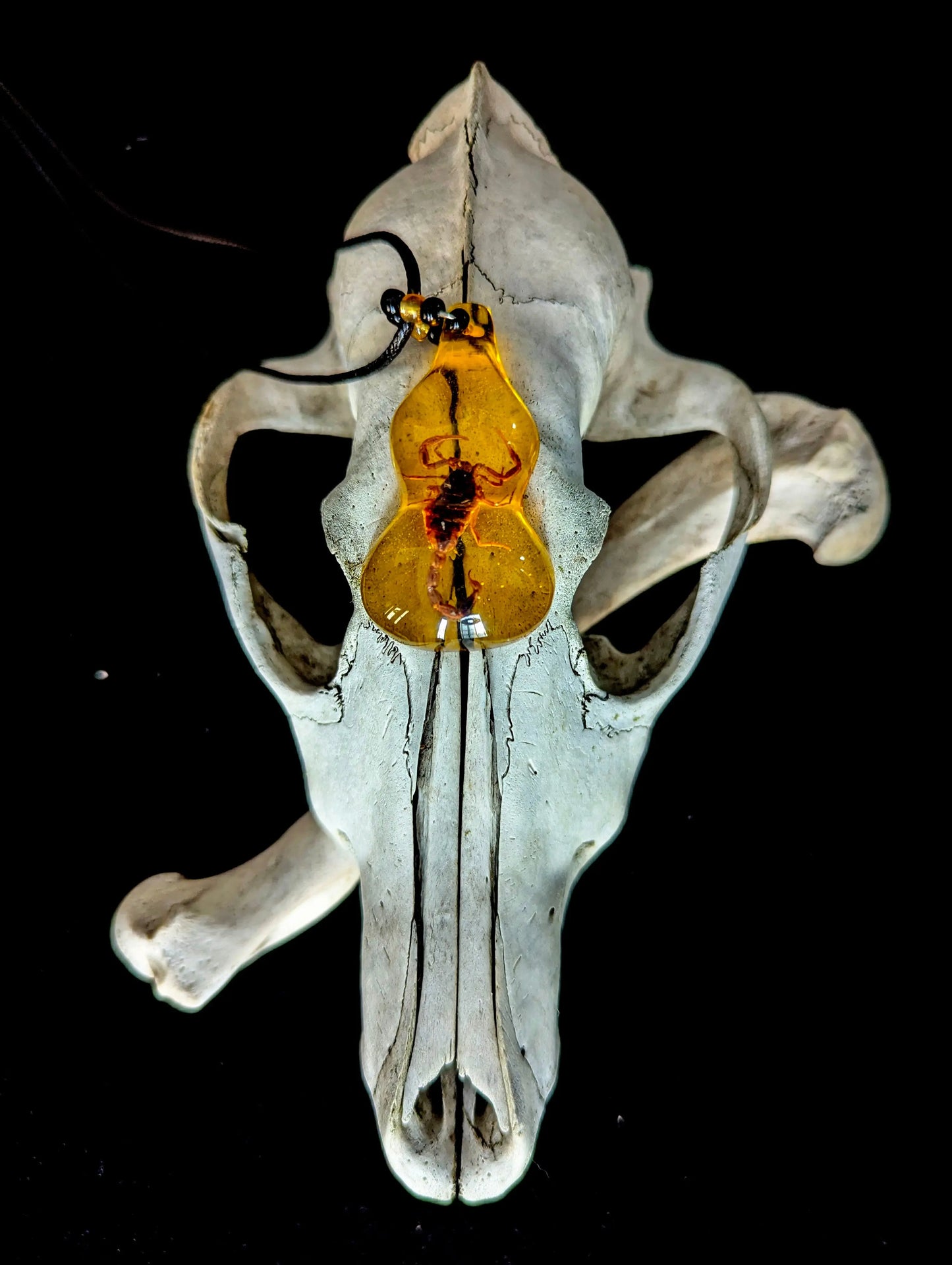 Imitation Amber Scorpion Pendant Necklace - Curiosia Bazar